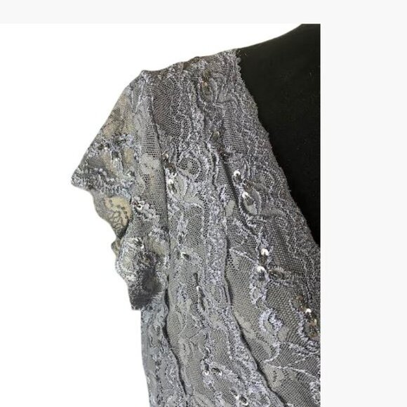 Blu Sage Medium Gray Lace Cocktail Evening Dress With Sequins Size 12 EUC - Picture 5 of 10